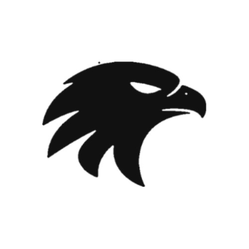 RaiseHunt logo