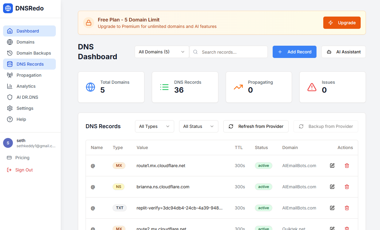 dnsredo.com screenshot 1