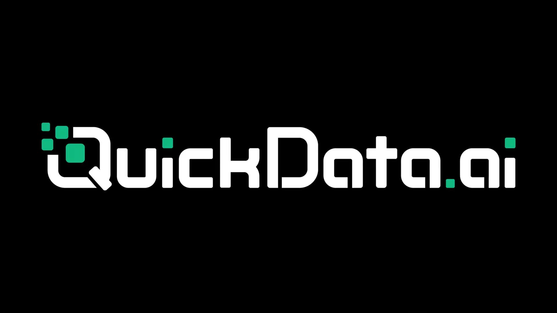 QuickData.ai screenshot 3