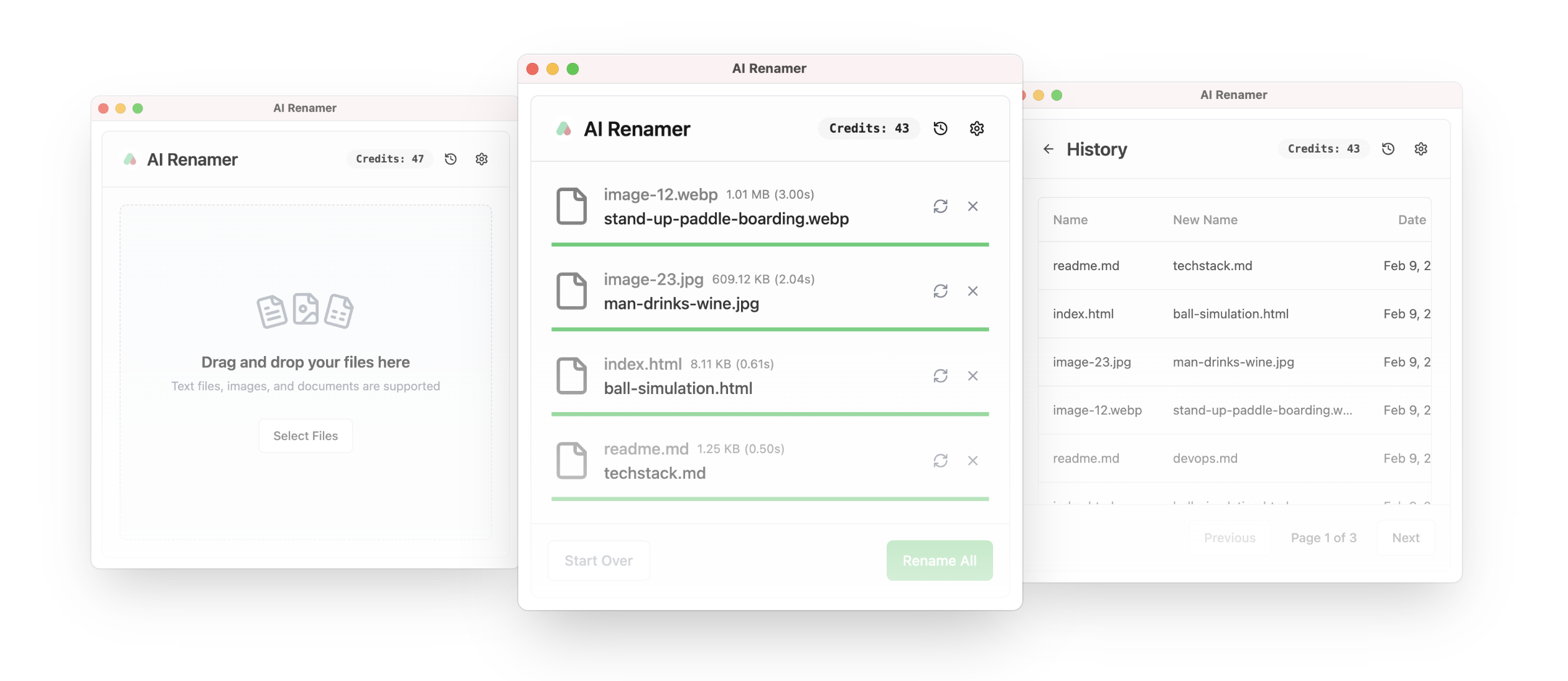 AI Renamer screenshot 1