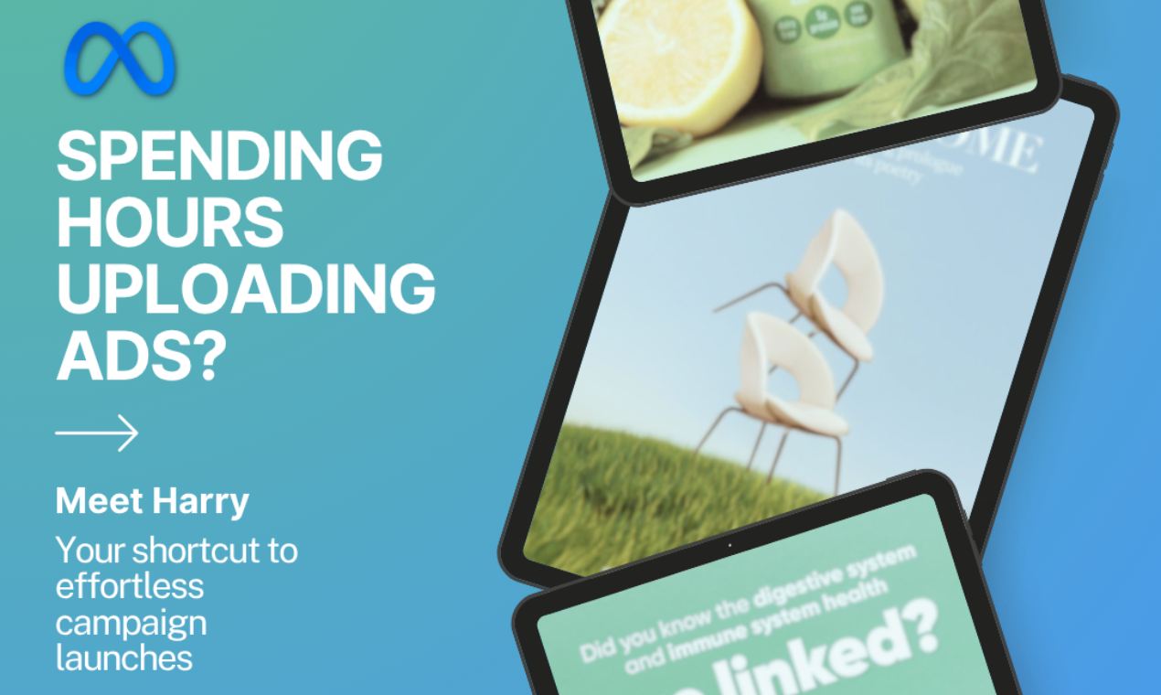 Harry – Automated Ad Campaign Launch Platform screenshot 1