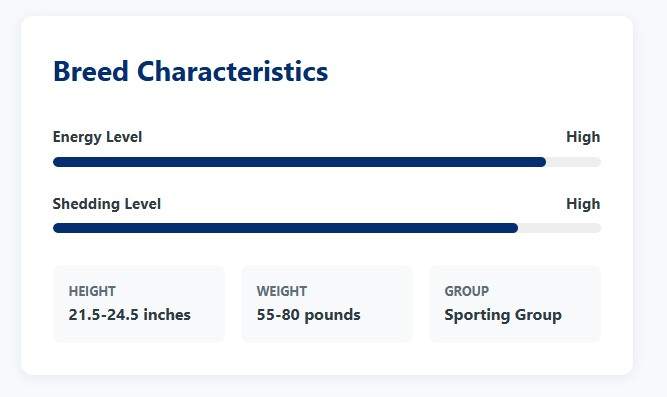 BreedMetrics.com screenshot 2