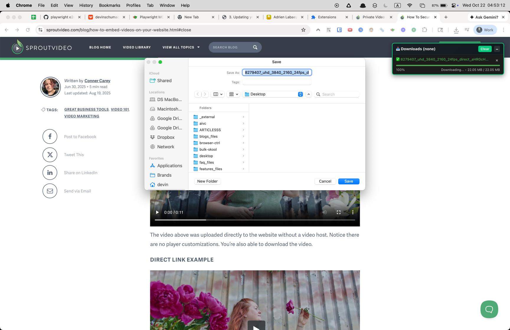 Sprout Video Downloader screenshot 2