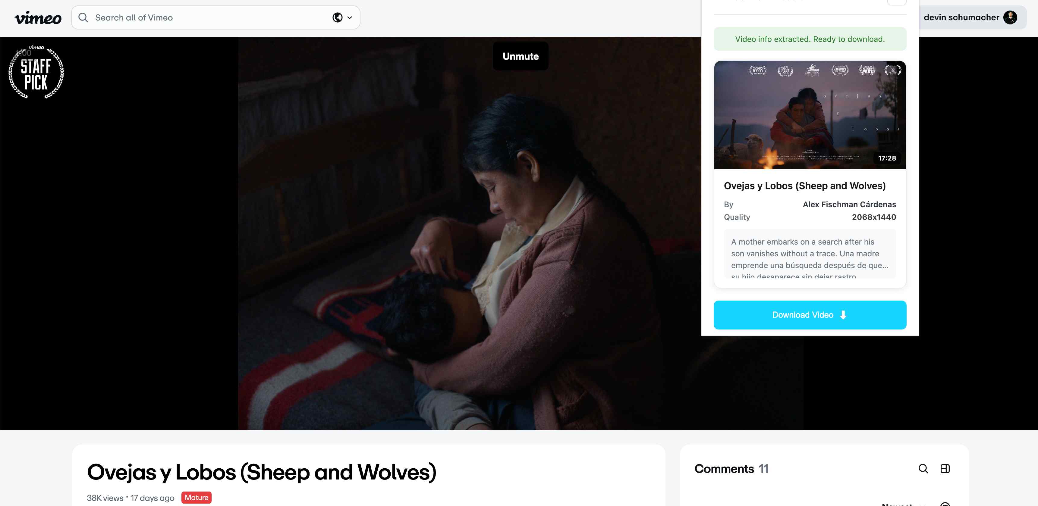 Vimeo Video Downloader screenshot 4