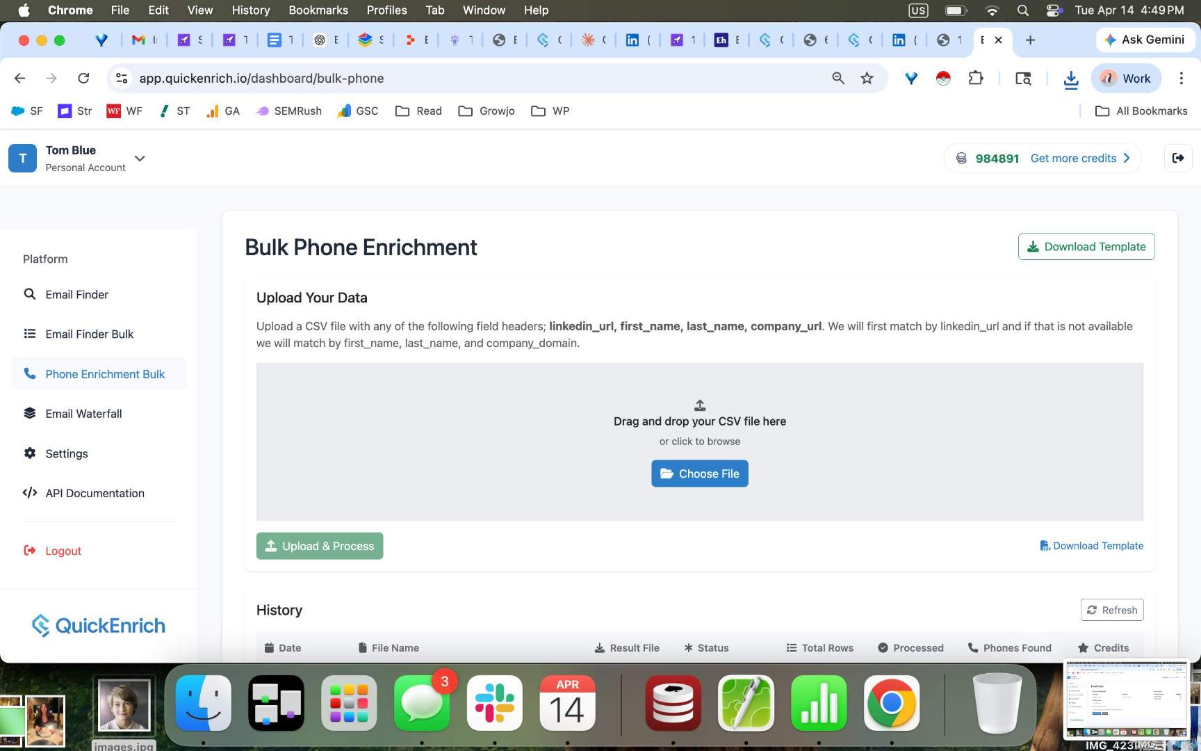 QuickEnrich screenshot 2