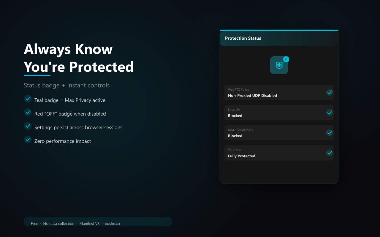 WebRTC Privacy Shield screenshot 2