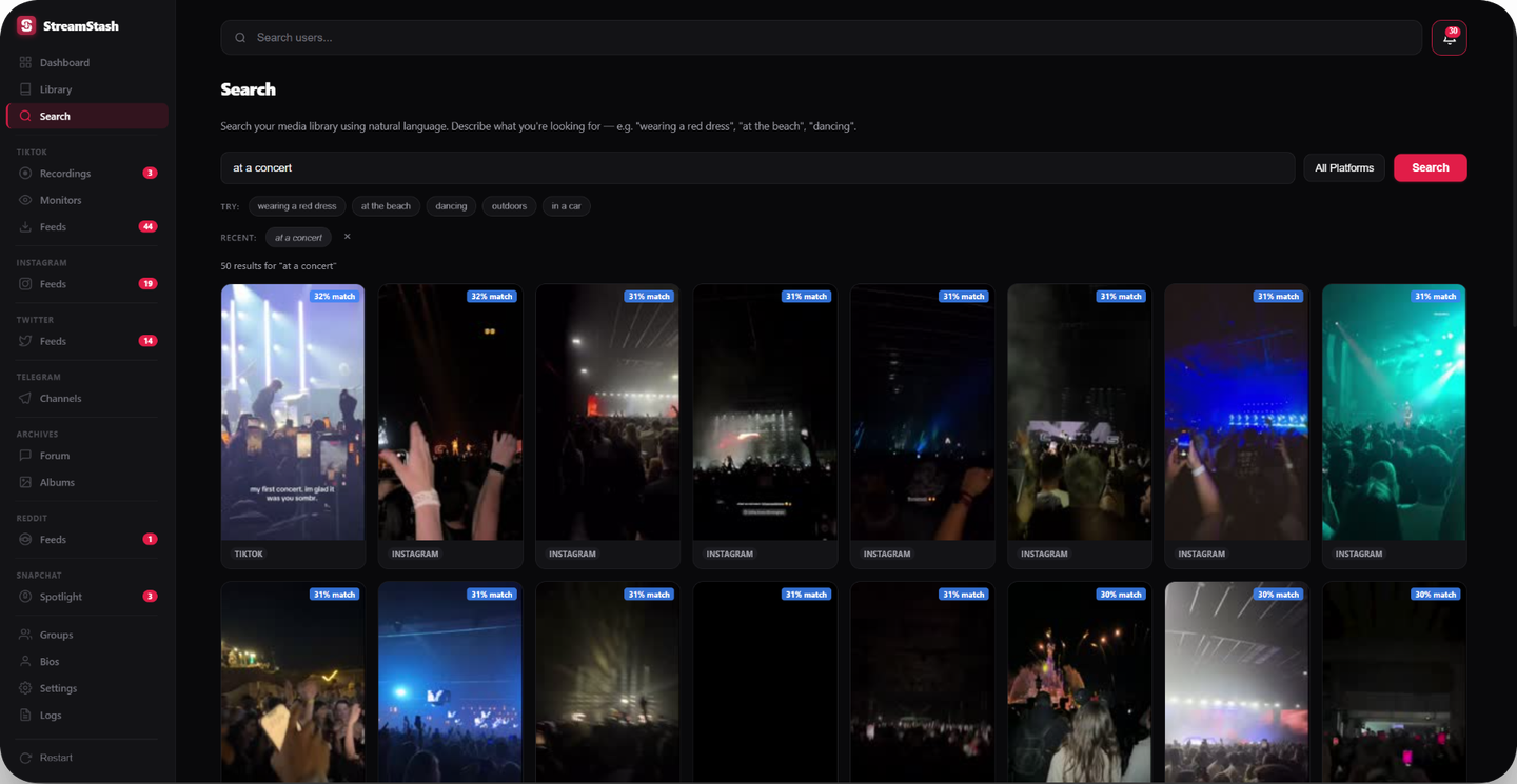 StreamStash screenshot 3