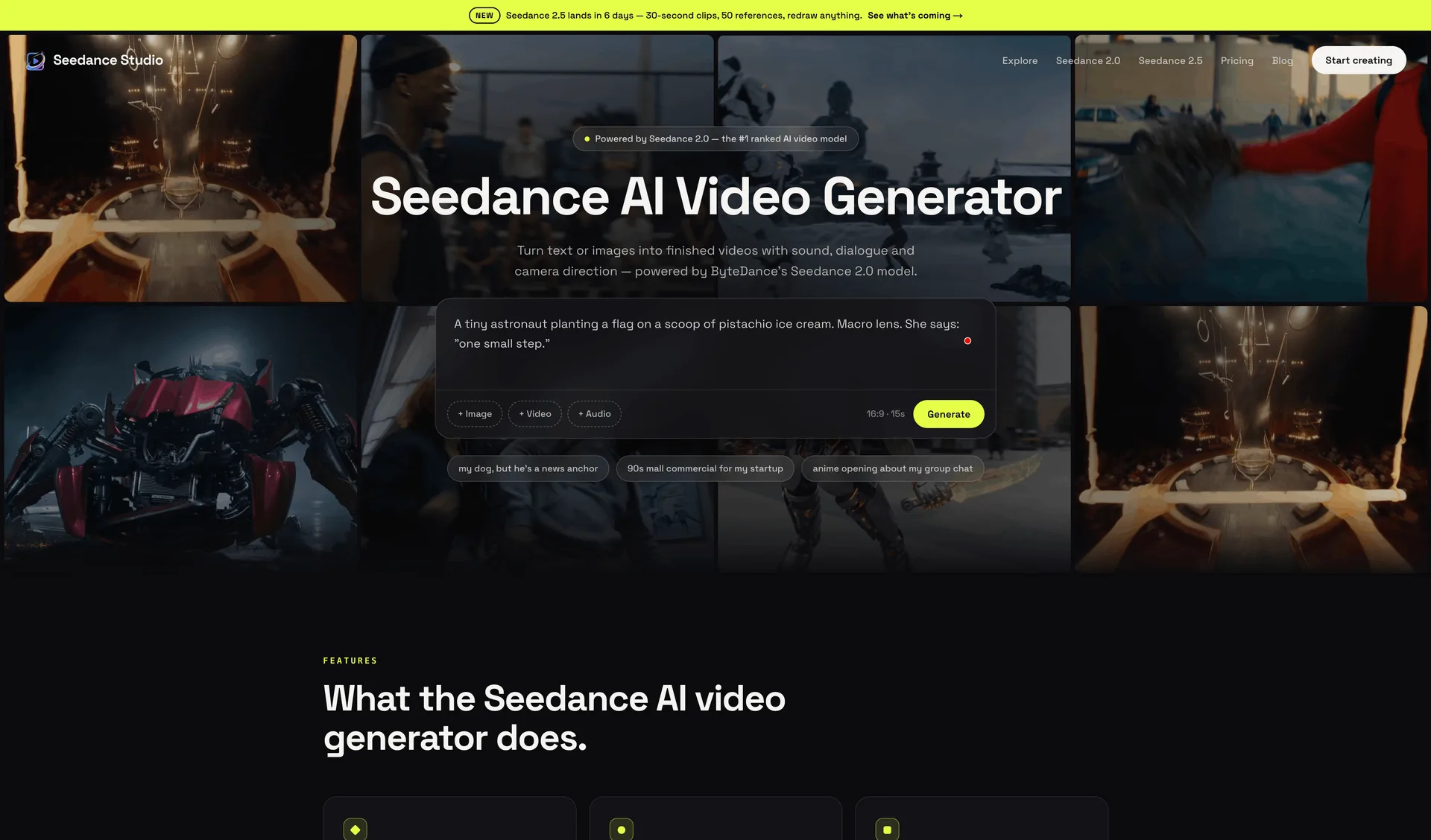 Seedance Studio screenshot 4