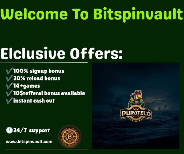 Bitspinvault screenshot 4