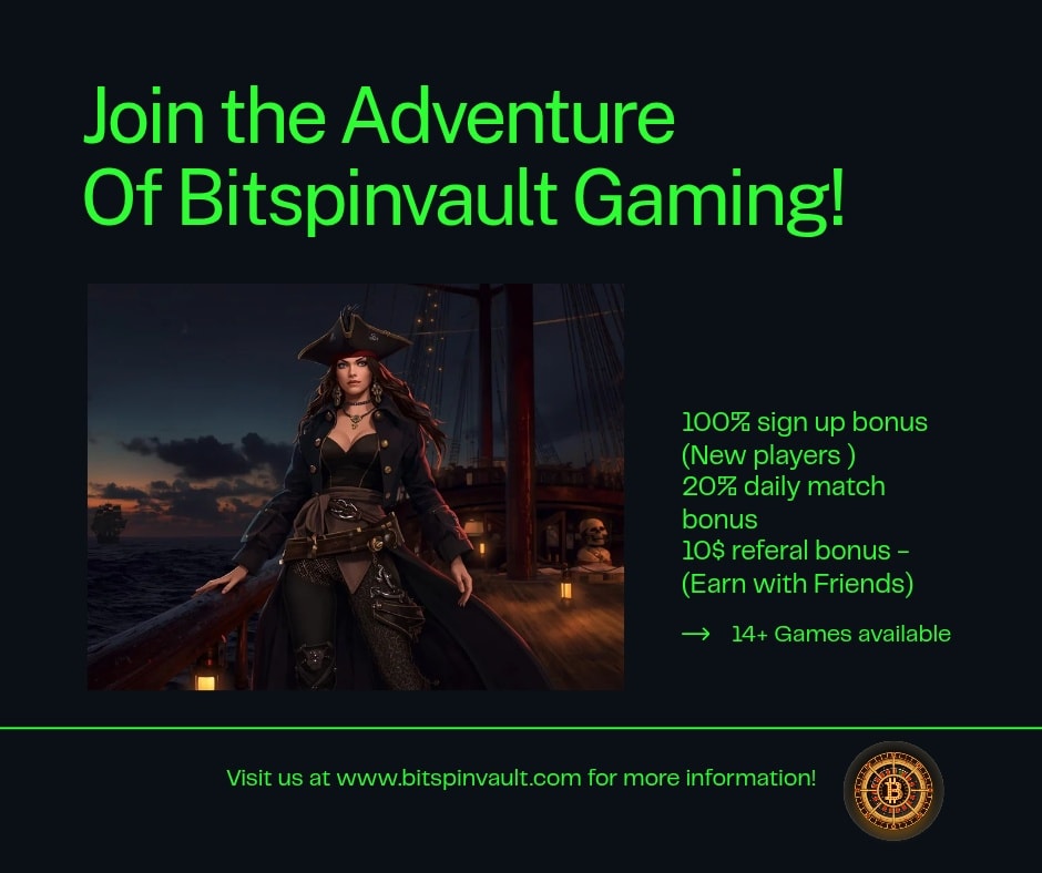 Bitspinvault screenshot 5