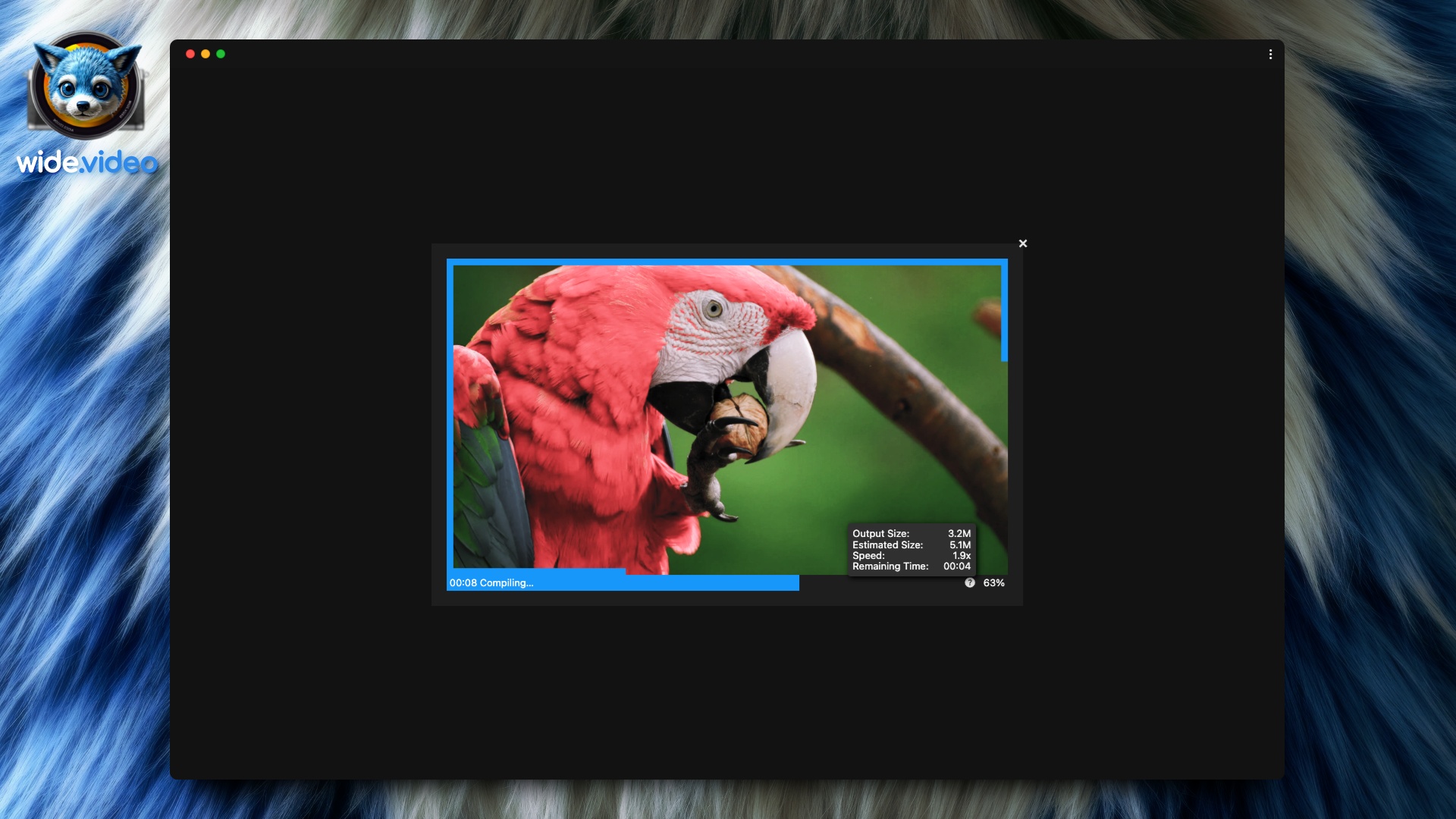 wide.video screenshot 2