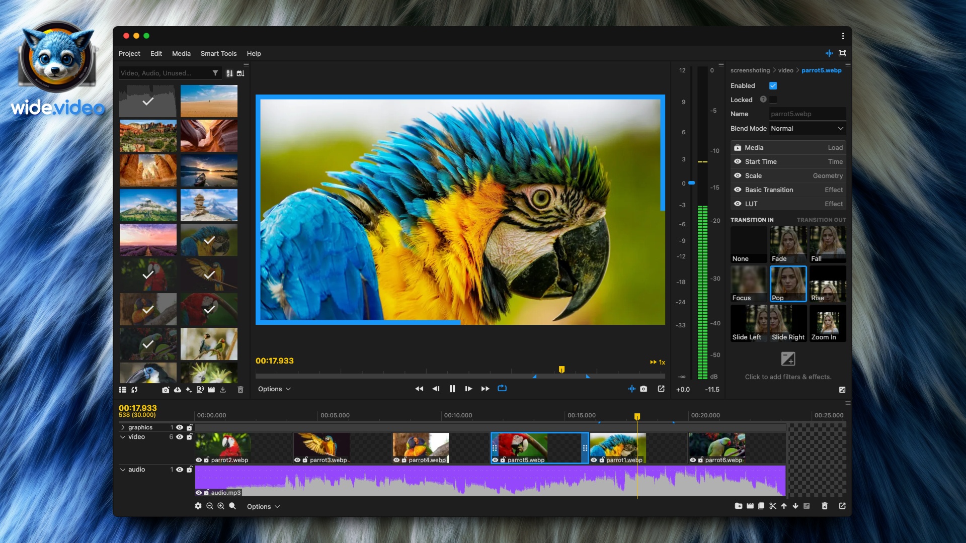 wide.video screenshot 5