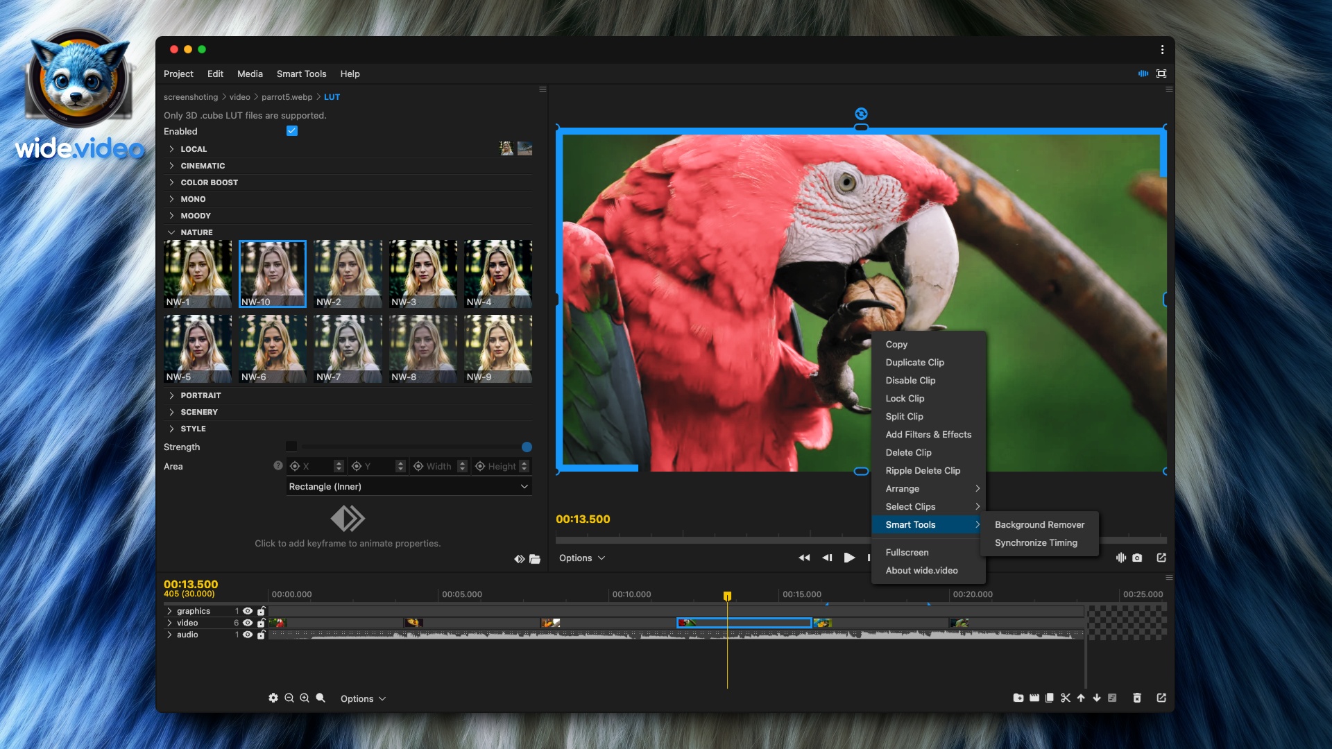 wide.video screenshot 4