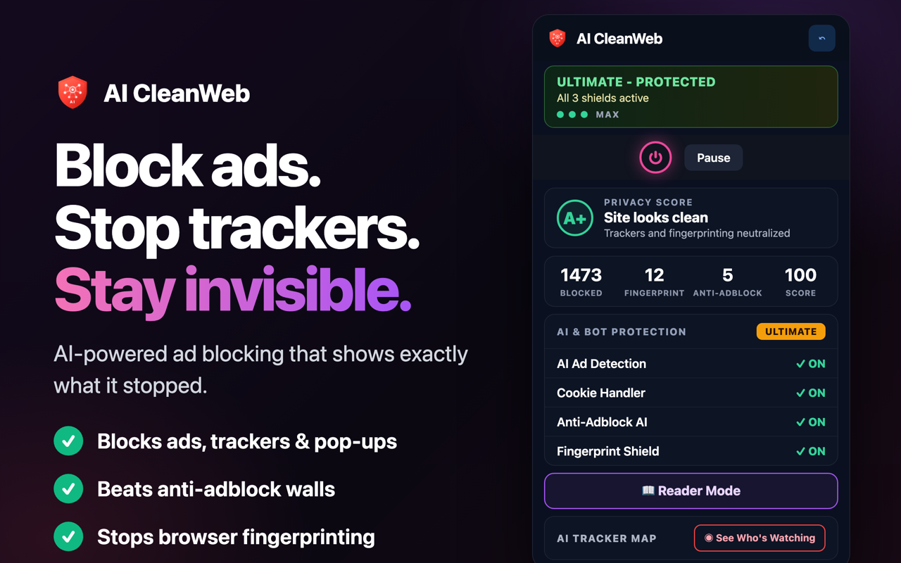 AI CleanWeb screenshot 2